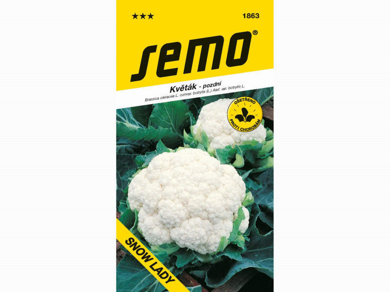 AgroBio Květák SNOW LADY