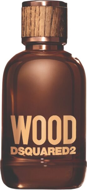 DSQUARED2 Wood For Him EdT 100 ml